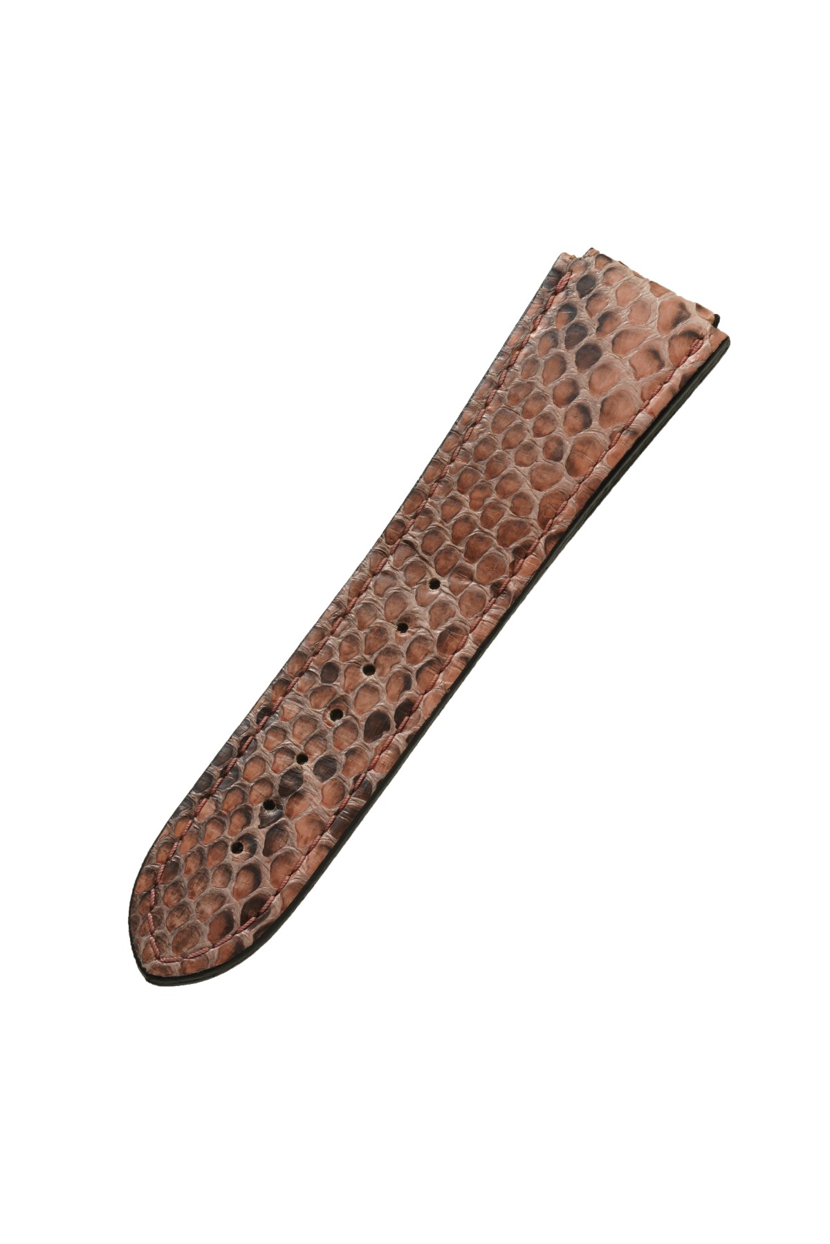 Pythlon band with CITES