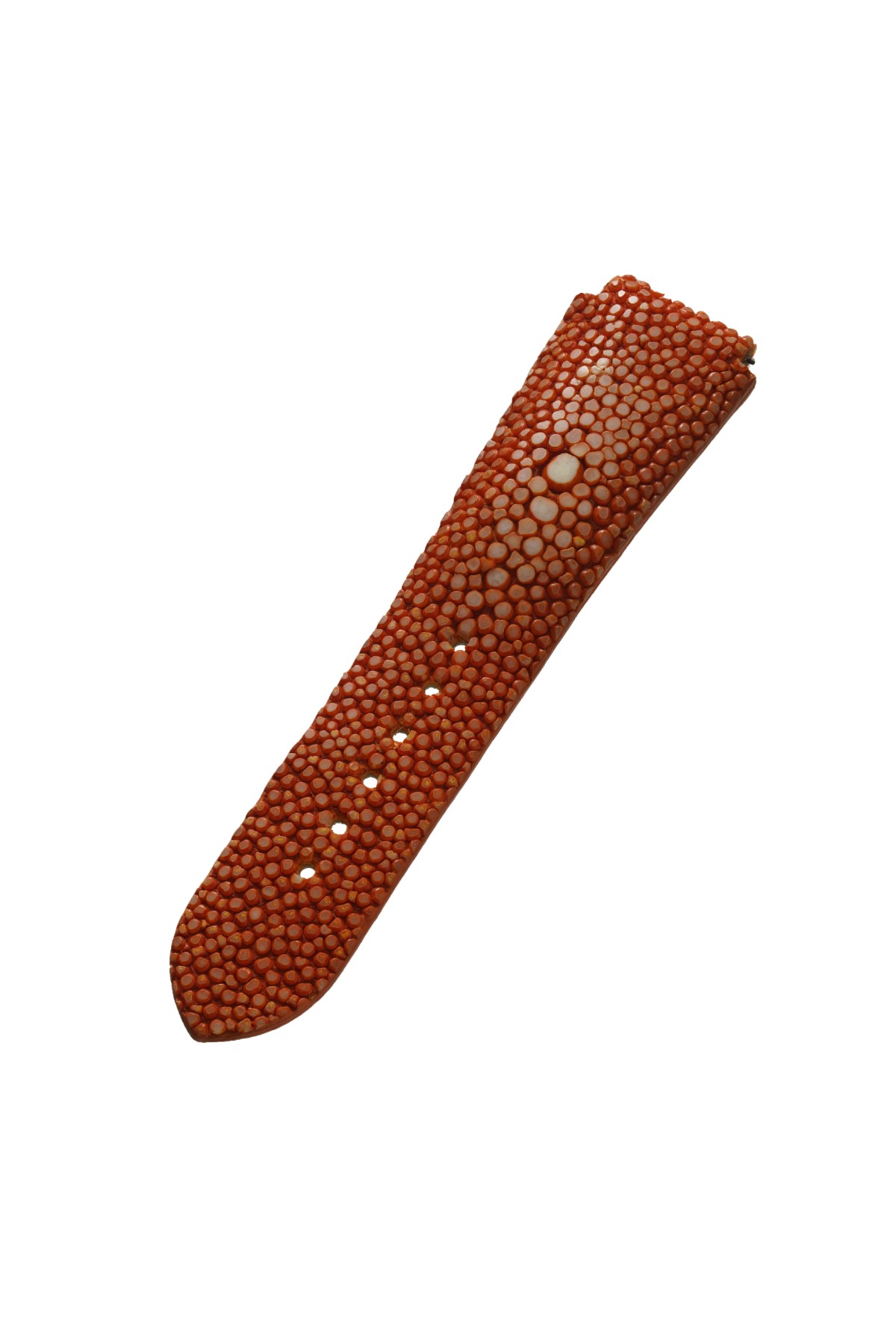 Stingray Band with Eyes